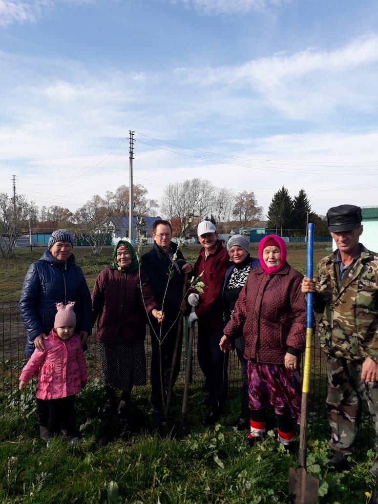 Алькеевский район: в Алпарово и Татарском Муллино посадили много деревьев