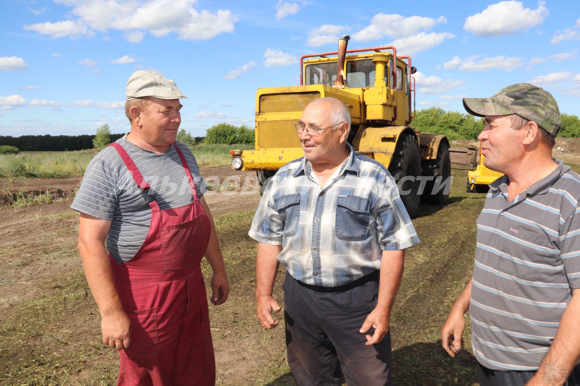 Лошадей обеспечат кормами – в селе Борискино Алькеевского района высокими темпами ведется заготовка кормов