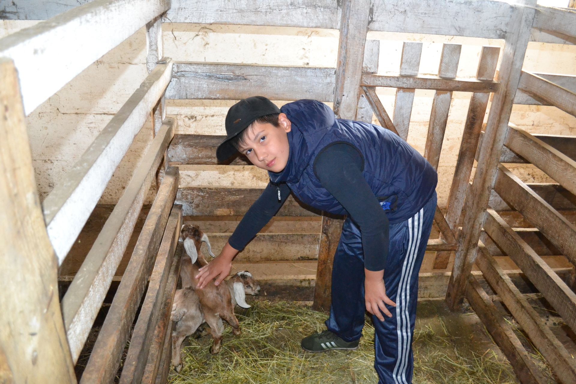 “Яшь имәннәр” лагеренда ял итүче балалар Нина Агапованың кәҗә фермасында экскурсиядә булдылар.