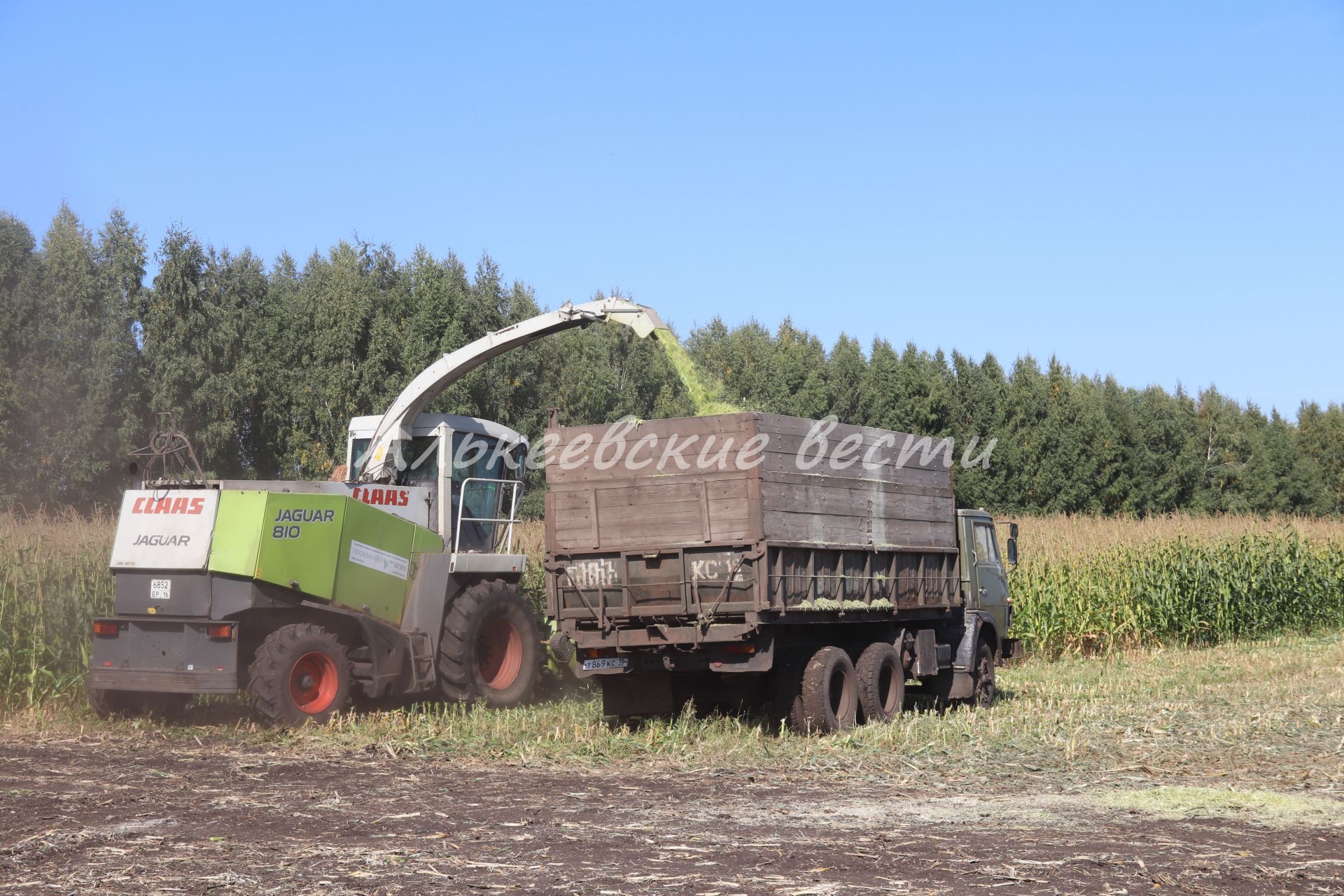 В Алькеевский район прибыли специалисты из восьми районов, чтобы изучить секреты возделывания кукурузы