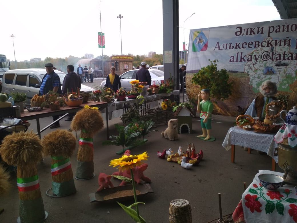 На казанской ярмарке алькеевцы реализовали товаров на один миллион рублей