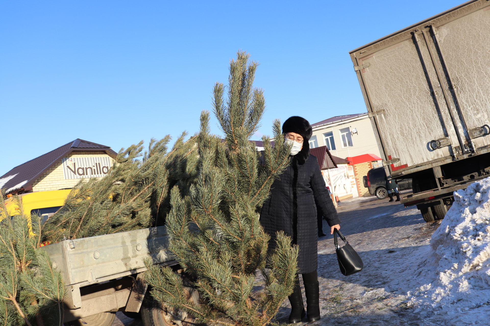 Алькеевский район: Какой Новый год без елки?