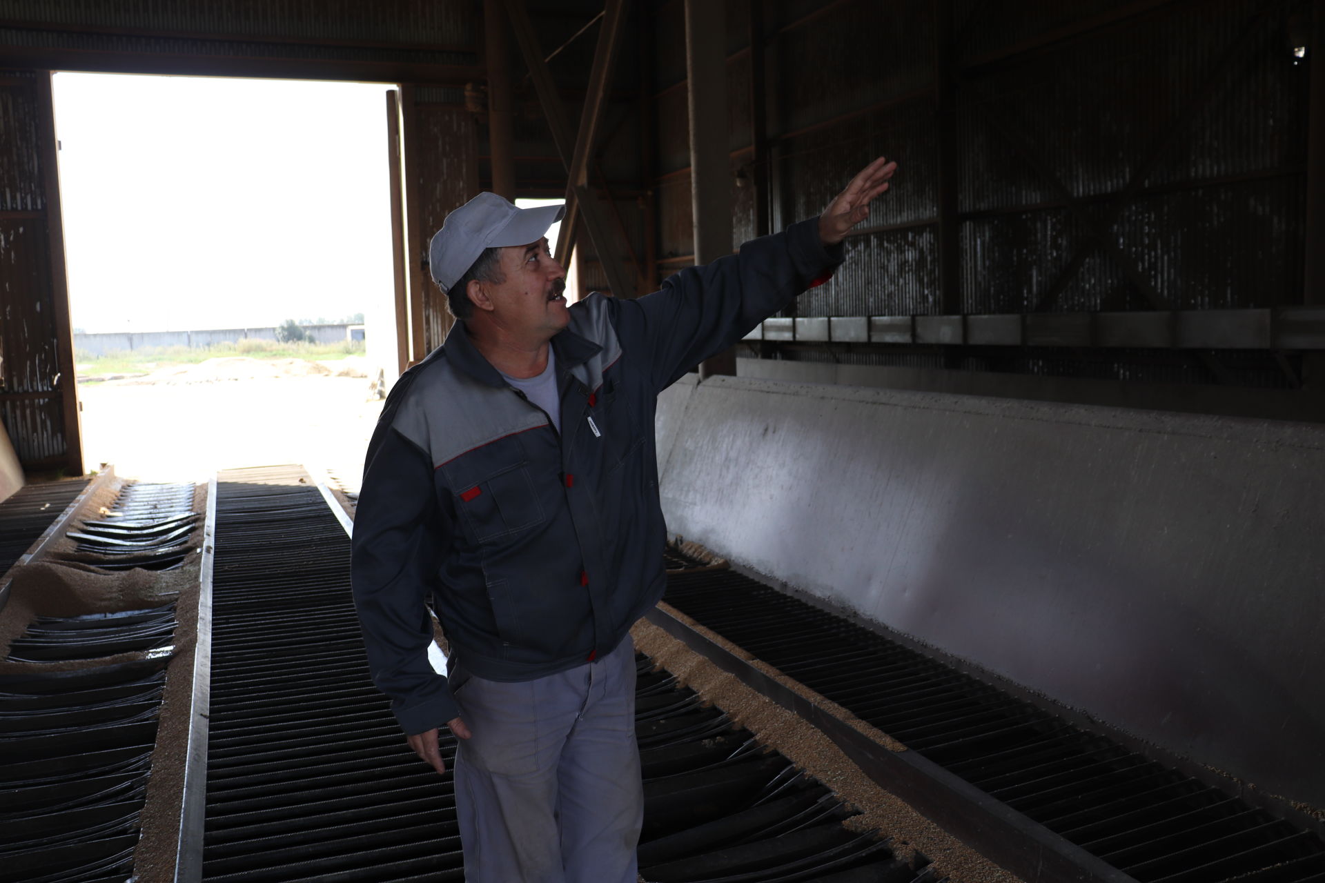 В Базарно-Матакский элеватор ежедневно поступает около двух тысяч тонн зерна