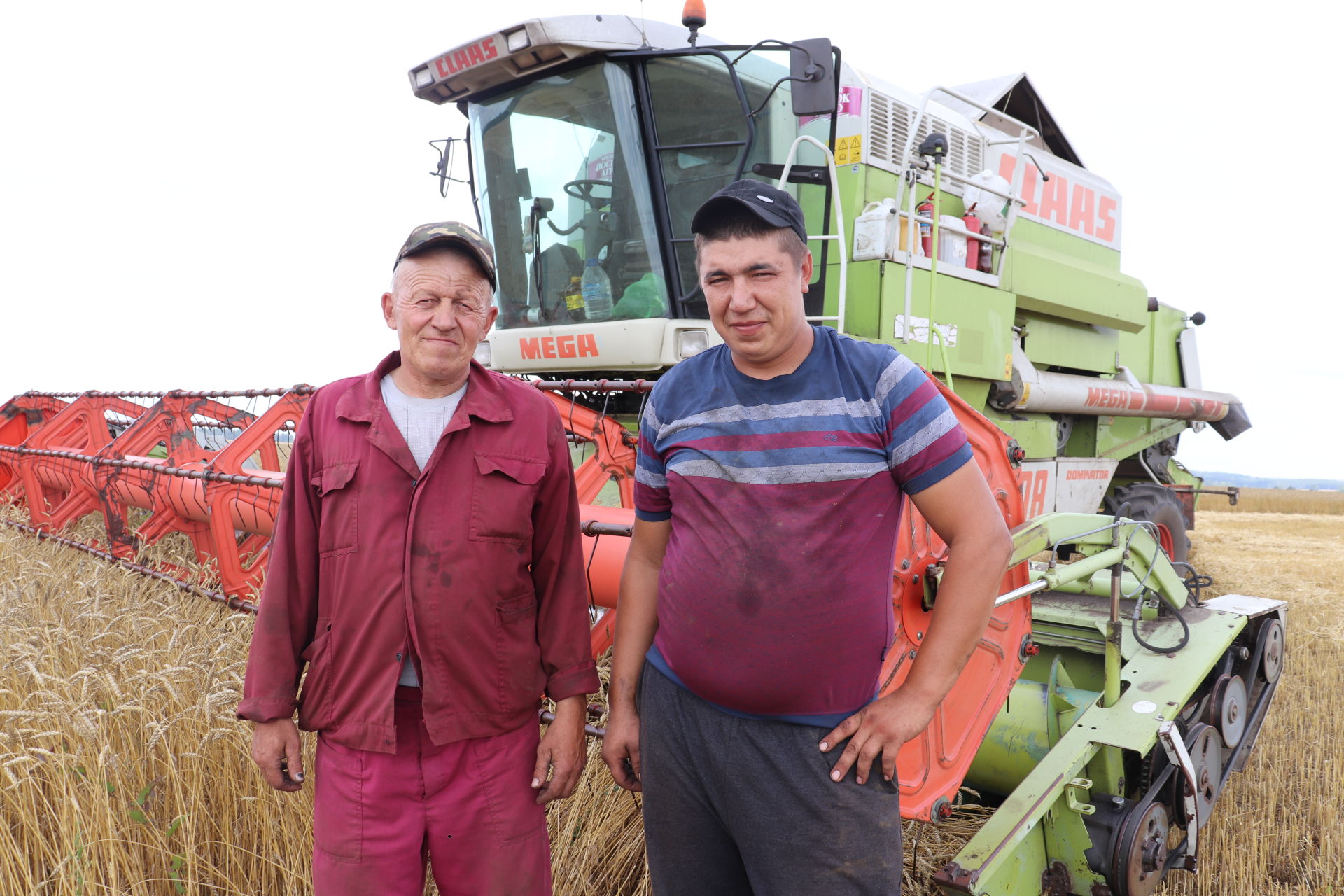 Алькеевский район: в отряде «Тахталинский»  урожайность озимой пшеницы на некоторых полях достигла 35 центнеров с гектара