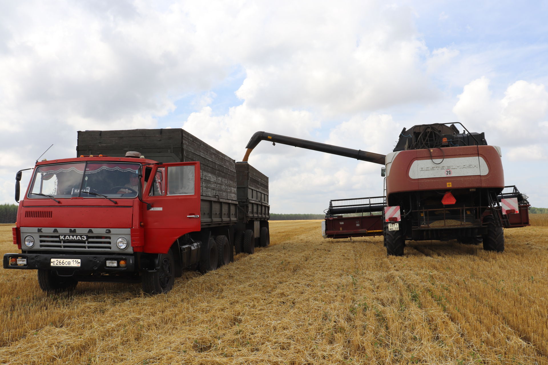 Алькеевский район: в отряде «Тахталинский»  урожайность озимой пшеницы на некоторых полях достигла 35 центнеров с гектара