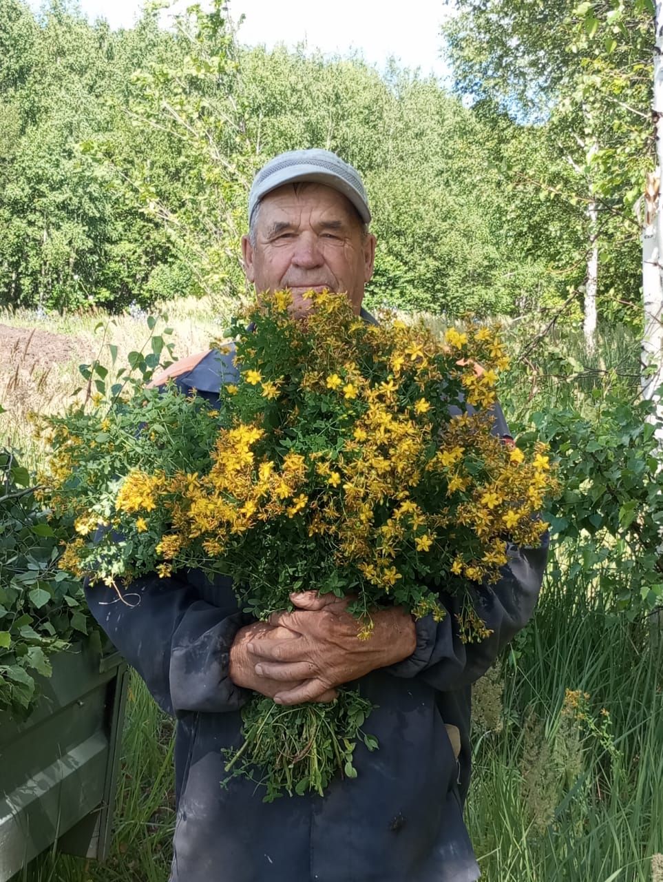 Алькеевский район: веник в баньке – первое дело!