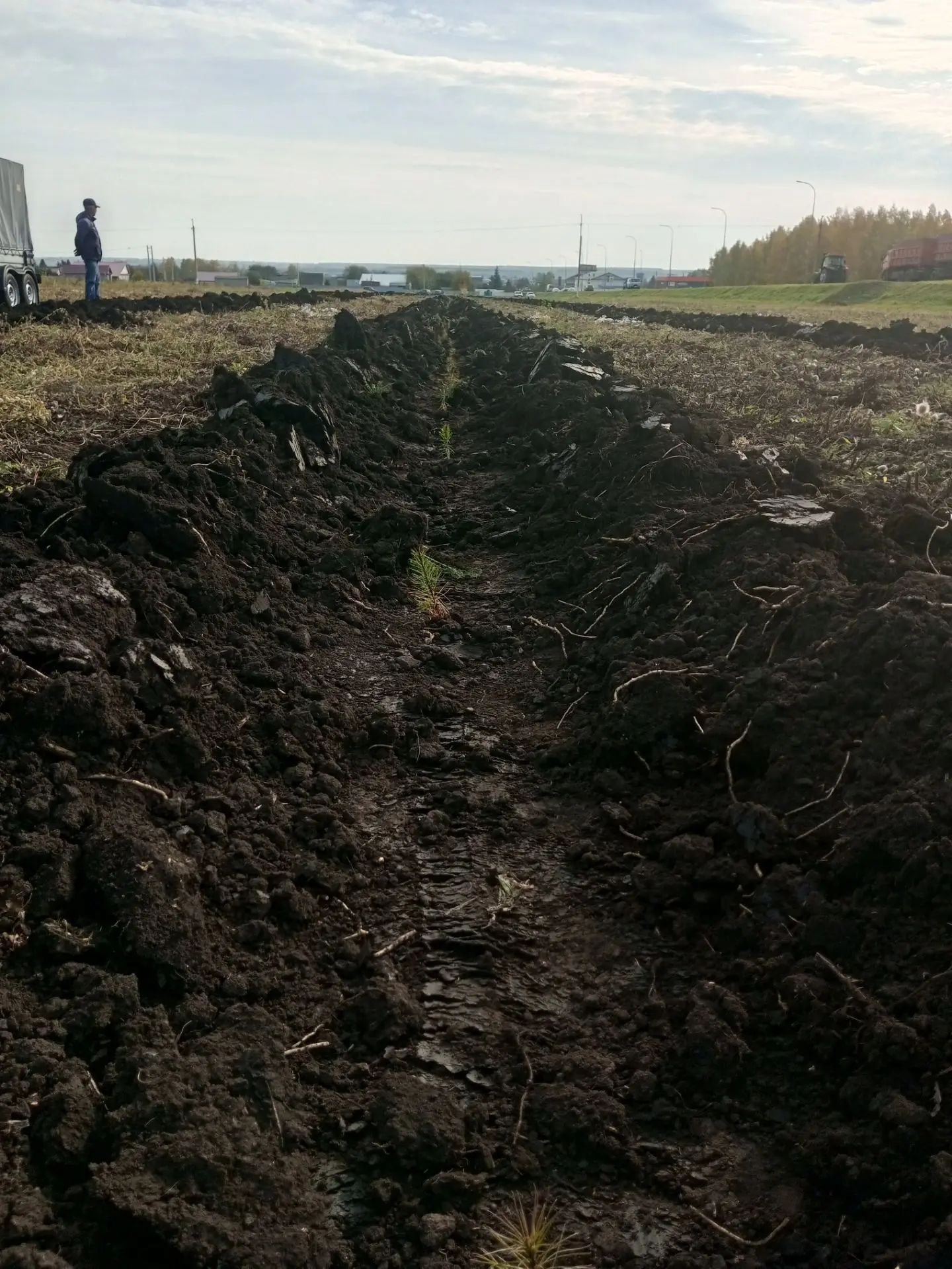 В районе пошла  масштабная акция по посадке леса