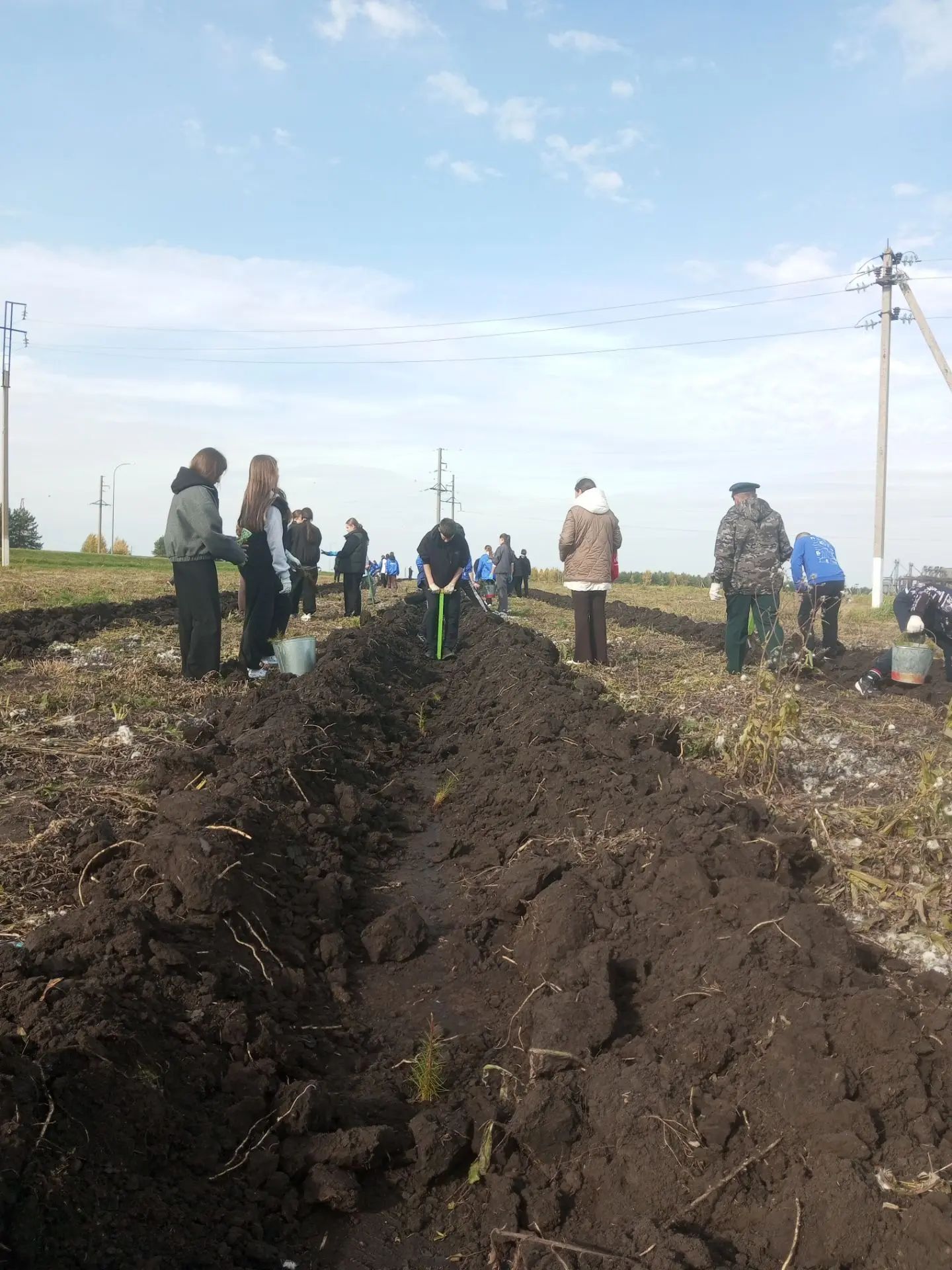 В районе пошла  масштабная акция по посадке леса