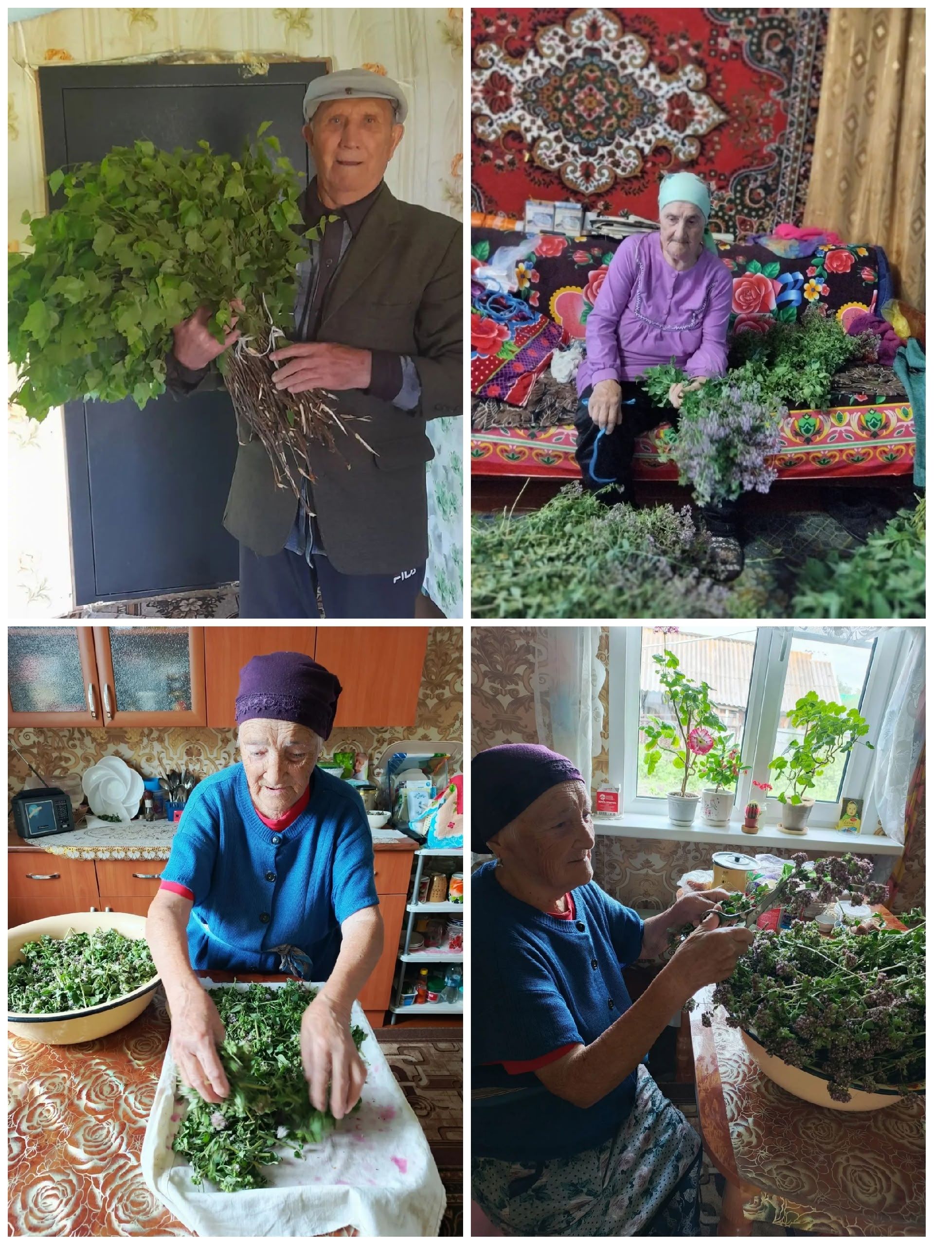 Әлки районында социаль хезмәт алучылар фитопрогулкада катнаштылар