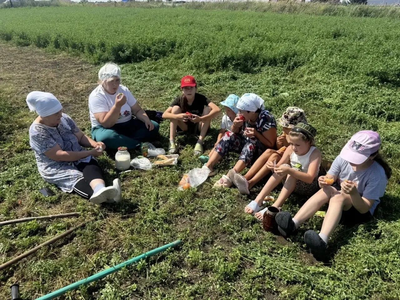 Знакомство с традициями сенокоса прошло в селе Ахметьево