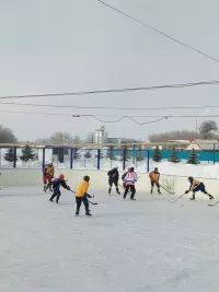 Түбән Әлки авылында Ватанны саклаучылар көне уңаеннан хоккей турниры узды