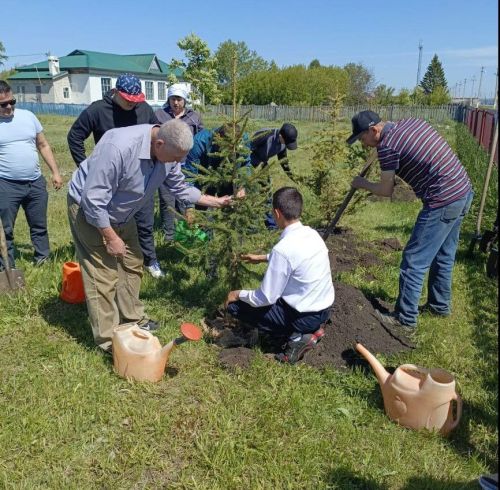 Асхат Хисматов посадил ели в школьном саду села Нижнее Алькеево