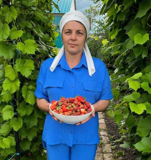 Рецепт мороженого из клубники со сгущенкой