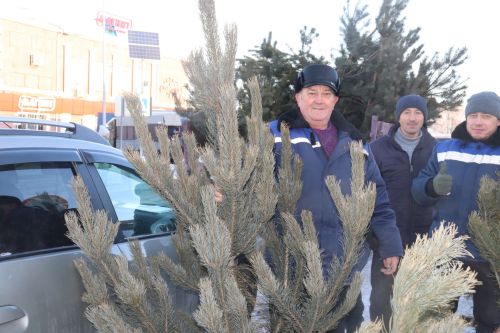 В Алькеевском районе состоялась предновогодняя ярмарка