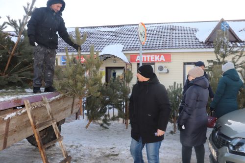 В Алькеевском районе состоялась предновогодняя ярмарка
