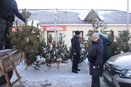 В Алькеевском районе состоялась предновогодняя ярмарка