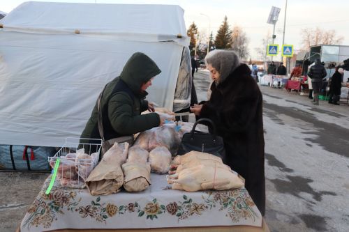 В Алькеевском районе состоялась предновогодняя ярмарка