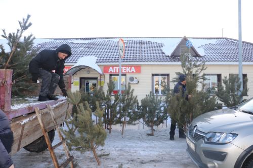 В Алькеевском районе состоялась предновогодняя ярмарка