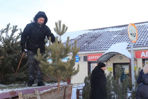 В Алькеевском районе состоялась предновогодняя ярмарка