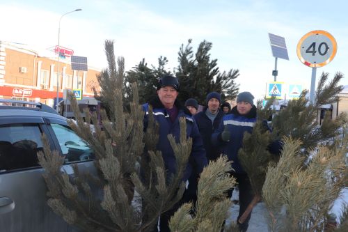 В Алькеевском районе состоялась предновогодняя ярмарка