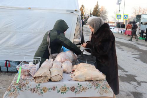 В Алькеевском районе состоялась предновогодняя ярмарка