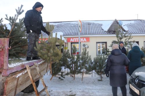 В Алькеевском районе состоялась предновогодняя ярмарка