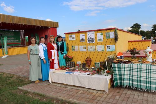 В Алькеевском районе прошел фестиваль добрососедства «Наш двор»