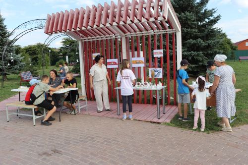 В Алькеевском районе прошел фестиваль добрососедства «Наш двор»