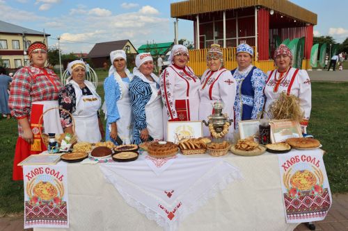 В Алькеевском районе прошел фестиваль добрососедства «Наш двор»