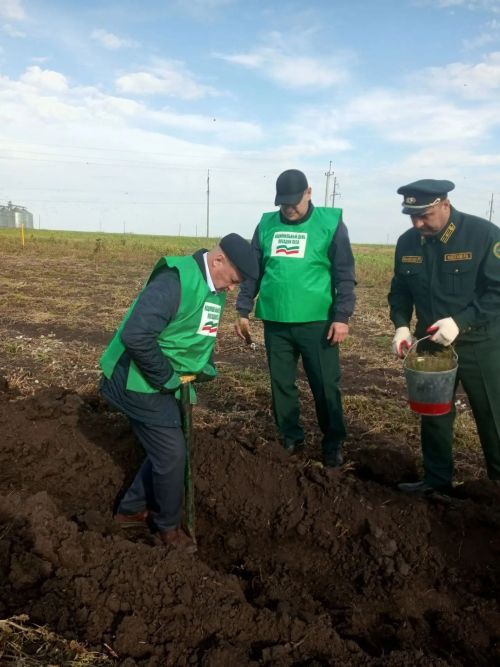 В районе пошла  масштабная акция по посадке леса