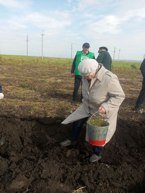 В районе пошла  масштабная акция по посадке леса