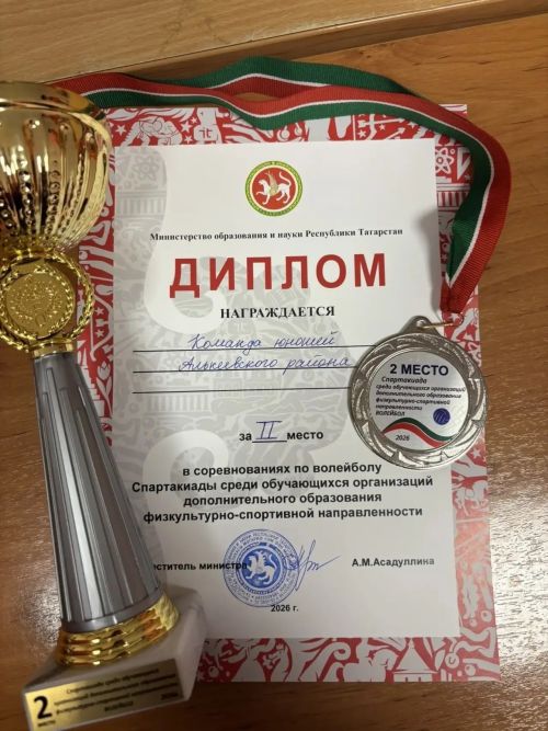 Алькеевские спортсмены блеснули на спартакиаде в Альметьевске