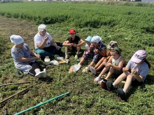 Знакомство с традициями сенокоса прошло в селе Ахметьево