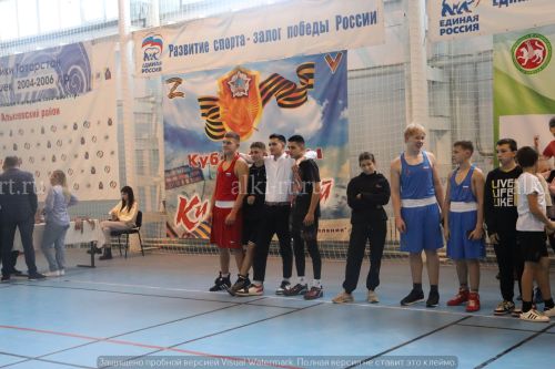 Александр Никошин призларына көрәш буенча районара фестиваль