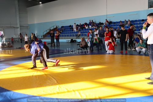 Александр Никошин призларына көрәш буенча районара фестиваль