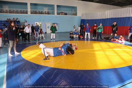 Александр Никошин призларына көрәш буенча районара фестиваль