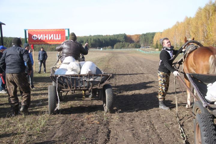 В Алькеевском районе День тружеников сельского хозяйства отметили скачками. ФОТО