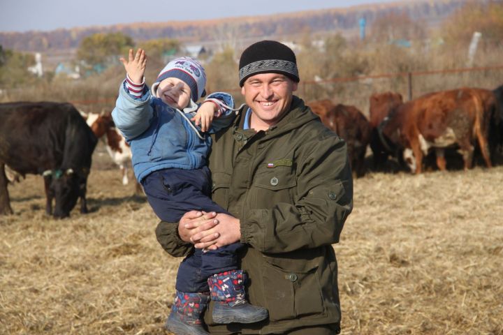 Сегодня в хозяйстве предпринимателя из Шибаш Нияза Минсабирова имеется около ста голов скота. ФОТО