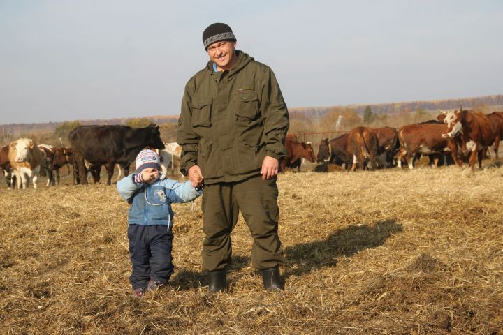 Чиябаш авылында яшәүче  Нияз Минсабиров фермасында бүген бер йөзләп баш терлеге бар. ФОТО