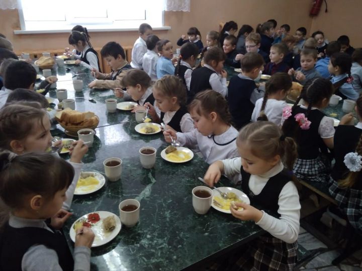 В Алькеевском районе прошло совещание по вопросам организации питания детей в учебно-воспитательных учреждениях 1