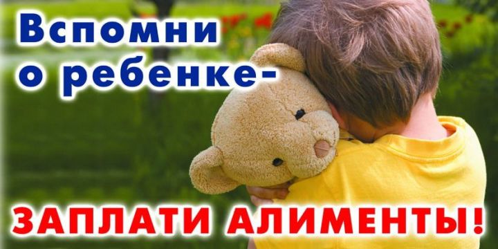 В Алькеевском районе проходит акция «Вспомни о ребенке – заплати алименты»