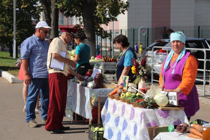 Әлки районы үзәгендә Өлкәннәр ункөнлегенә багышланган көзге ярминкә була