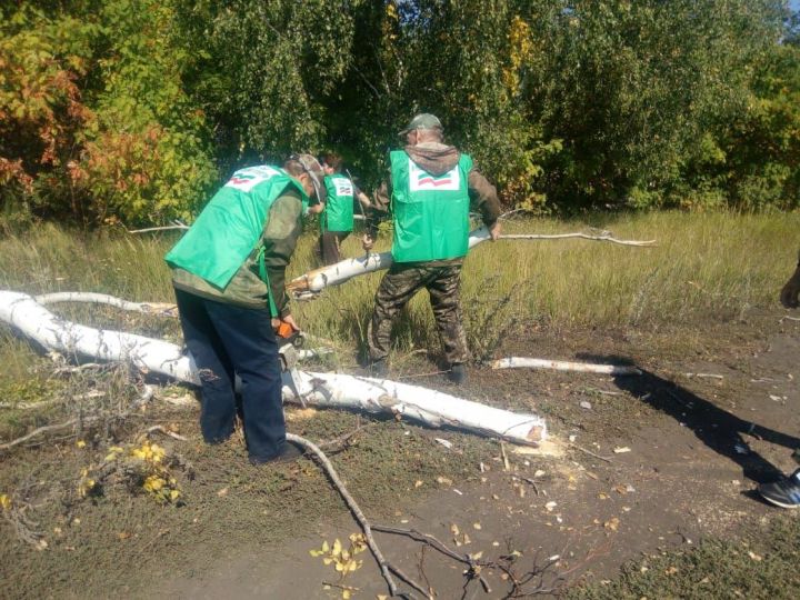 22 апреля в Татарстане стартует весенний этап республиканской природоохранной акции «Чистые леса Татарстана»
