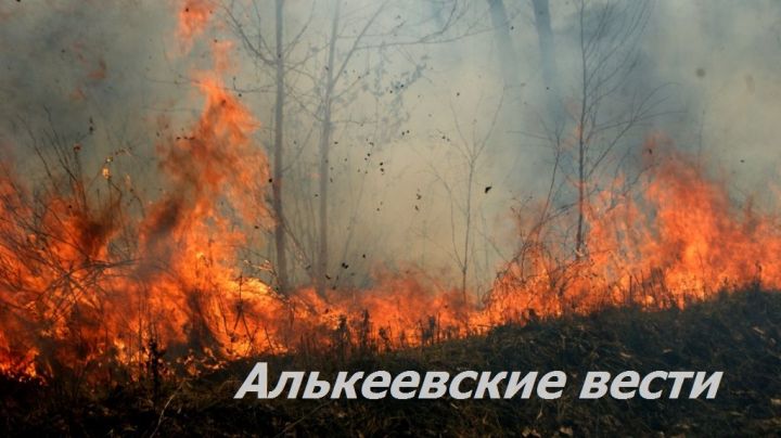 Старший инспектор пожарного надзора Алькеевского района Радис Инсапов за нарушение правил безопасности при сжигании мусора предусмотрены большие штрафы