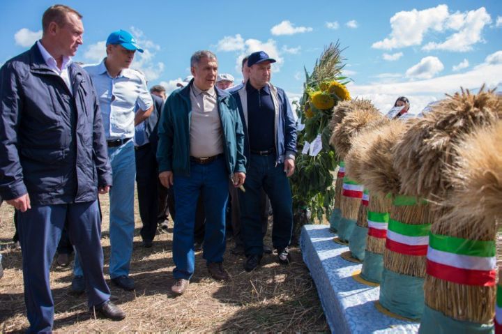 Президент Татарстана отметил, что в Алькеевском районе посевные работы проведены своевременно и качественно