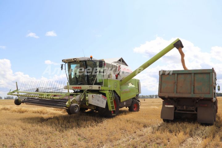 В Алькеевском районе начали уборку озимой пшеницы
