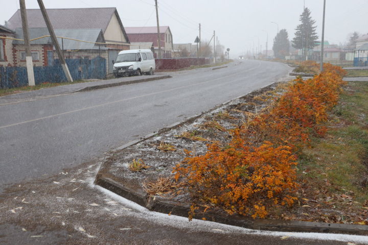 В Алькеевском районе выпал первый снег