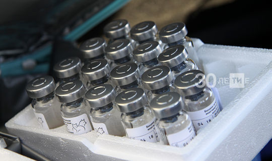 В Татарстан поступила вторая партия вакцины от гриппа