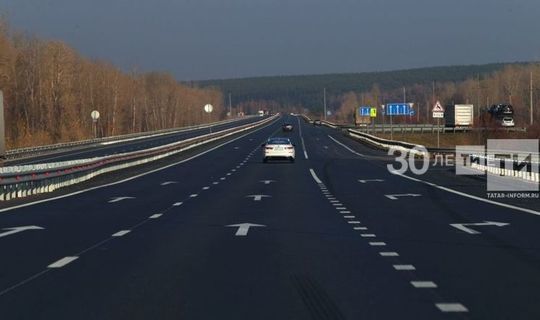 При строительстве дороги М12 в Татарстане не потребуется дополнительная вырубка деревьев