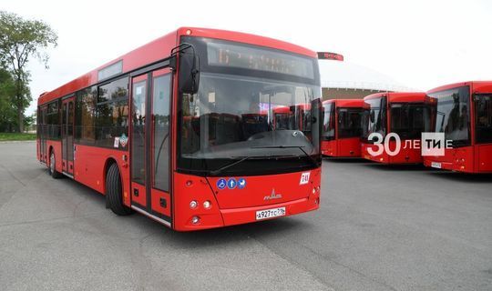 В РТ предложили возобновить проект по аресту пассажирских автобусов